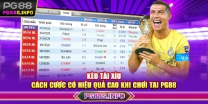 Kèo Tài Xỉu – Cách Cược Có Hiệu Quả Cao Khi Chơi Tại PG88