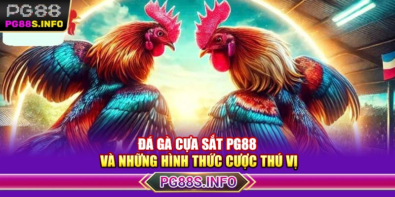 Đá Gà Cựa Sắt PG88 Và Những Hình Thức Cược Thú Vị