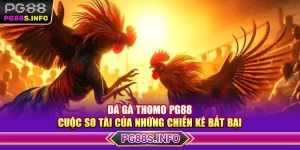 Đá Gà Thomo PG88 – Cuộc So Tài Của Những Chiến Kê Bất Bại