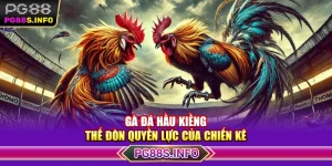 Gà Đá Hầu Kiềng – Thế Đòn Quyền Lực Của Chiến Kê