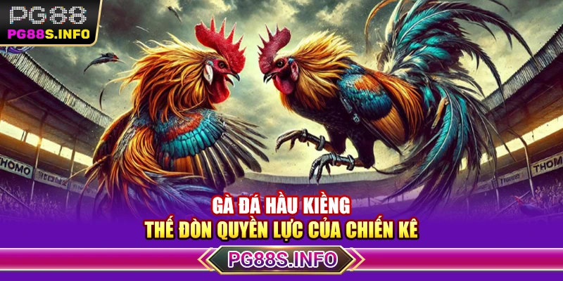 Gà Đá Hầu Kiềng – Thế Đòn Quyền Lực Của Chiến Kê