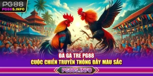 Đá Gà Tre PG88 – Cuộc Chiến Truyền Thống Đầy Màu Sắc