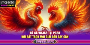 Đá Gà Ws168 Tại PG88 - Nơi Bắt Trọn Mọi Giải Đấu Gay Cấn