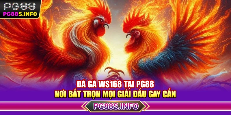 Đá Gà Ws168 Tại PG88 - Nơi Bắt Trọn Mọi Giải Đấu Gay Cấn