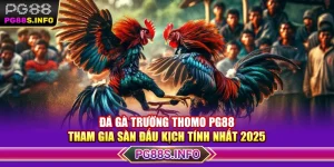 Đá Gà Trường Thomo PG88 - Tham Gia Sàn Đấu Kịch Tính Nhất 2025