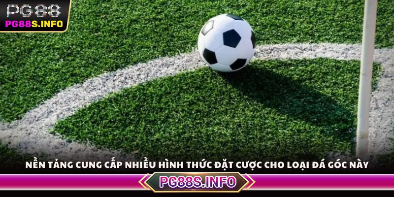 Nền tảng cung cấp nhiều hình thức đặt cược cho loại đá góc này