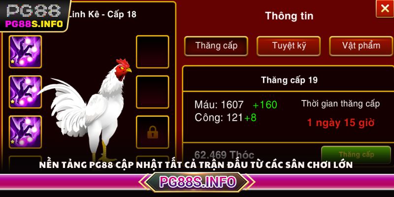 Nền tảng PG88 cập nhật tất cả trận đấu từ các sân chơi lớn