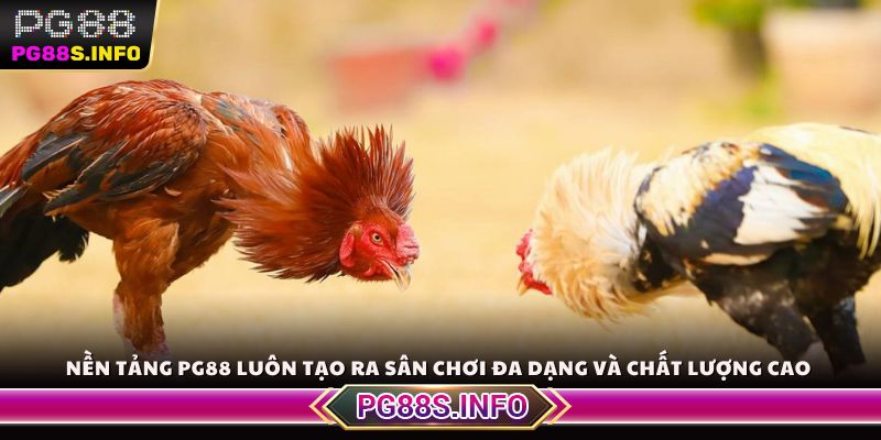 Nền tảng PG88 luôn tạo ra sân chơi đa dạng và chất lượng cao