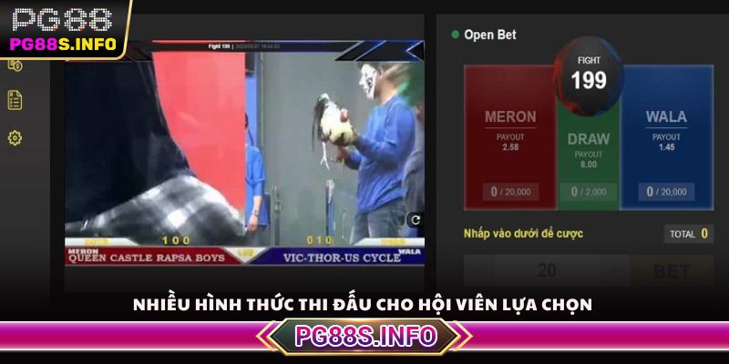 Nhiều hình thức thi đấu cho hội viên lựa chọn