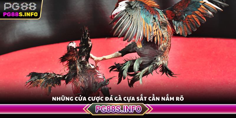 Những cửa cược đá gà cựa sắt cần nắm rõ
